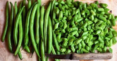 Bab és borsó termesztése a kertben